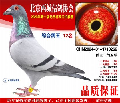 ����12��