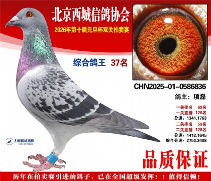 ����37��