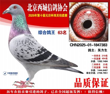 ����63��