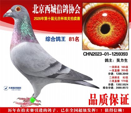 ����81��