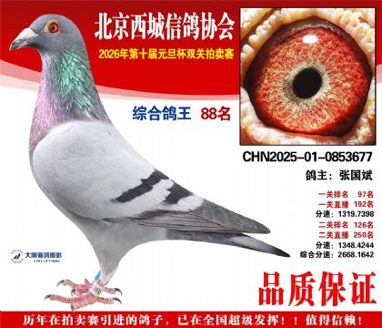 ����88��