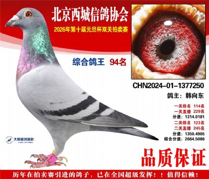 ����94��