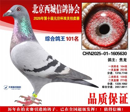 ����101��