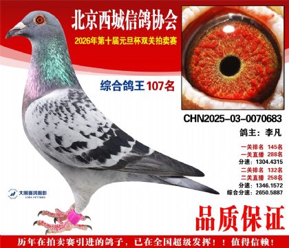 ����107��