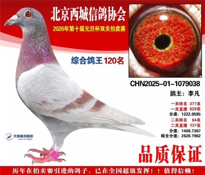 ����120��