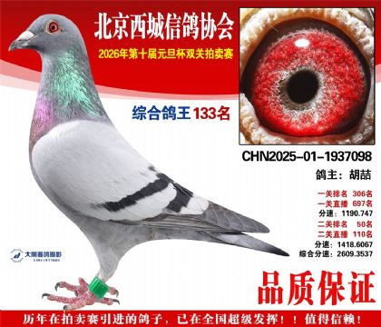 ����133��