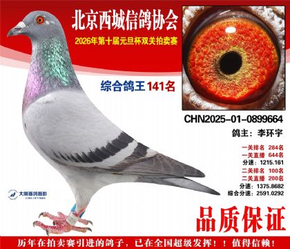 ����141��