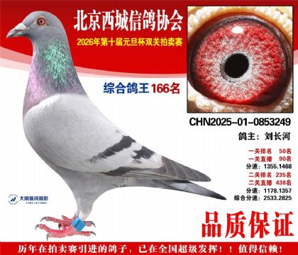 ����166��