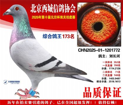 ����173��