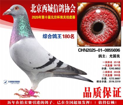 ����180��