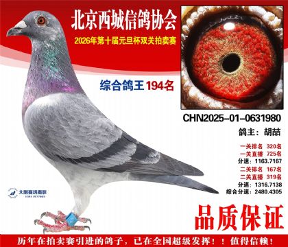 ����194��