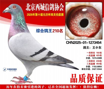 ����210��