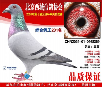 ����231��