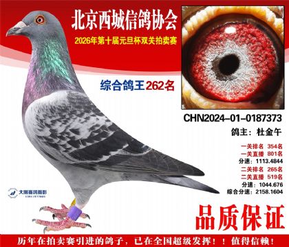 ����262��