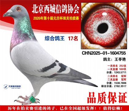 ����17��