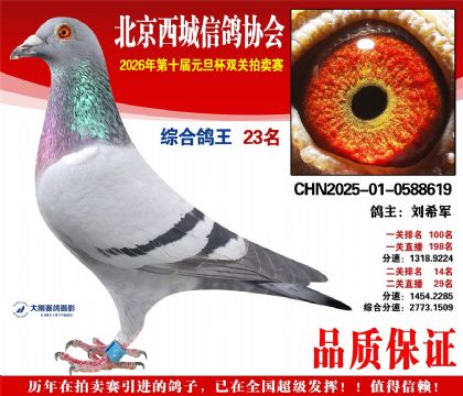 ����23��