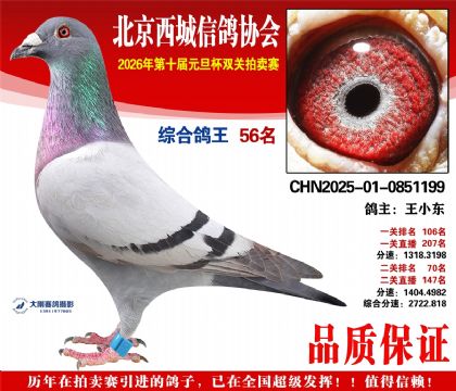 ����56��