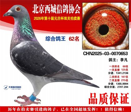 ����62��