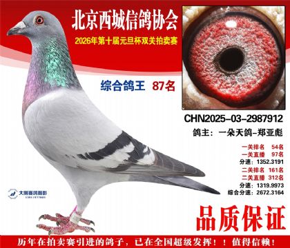 ����87��