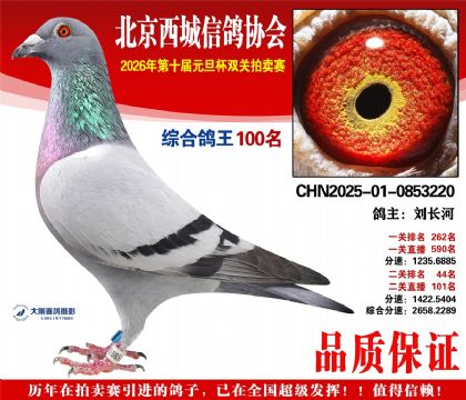 ����100��