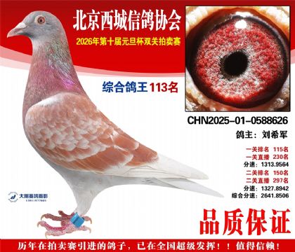 ����113��