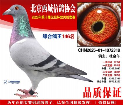 ����146��