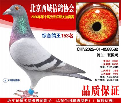 ����153��