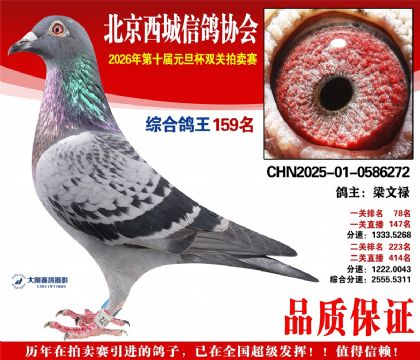 ����159��