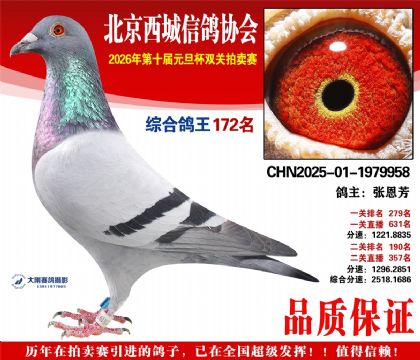 ����172��