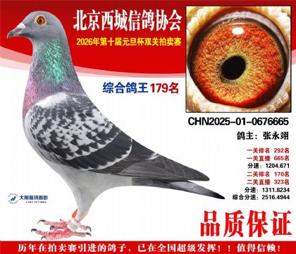 ����179��