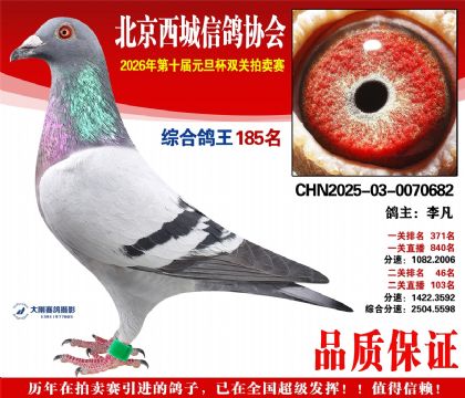 ����185��