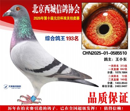 ����193��