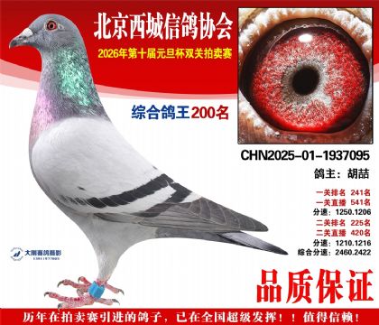 ����200��