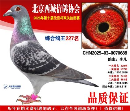 ����227��