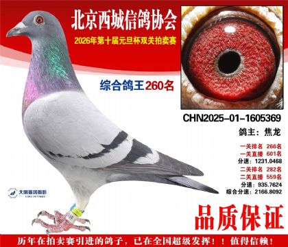 ����260��