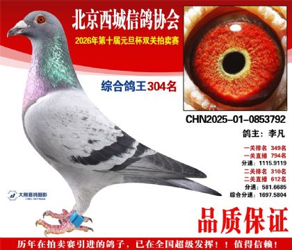 ����304��