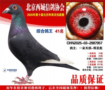 ����41��