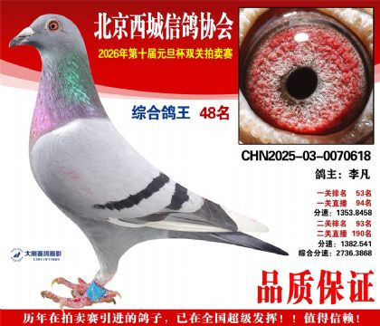 ����48��