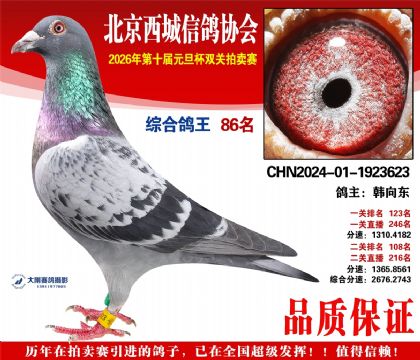 ����86��