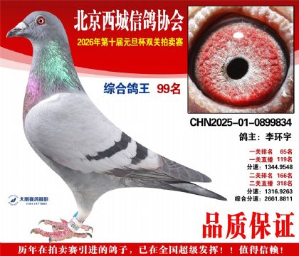 ����99��