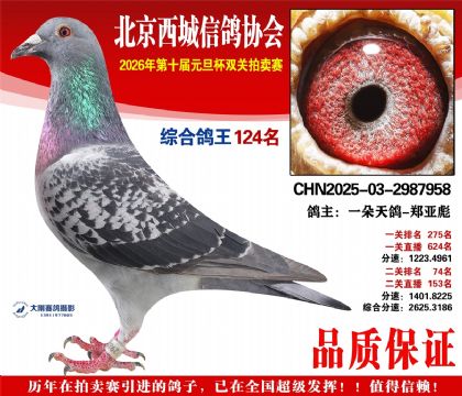 ����124��