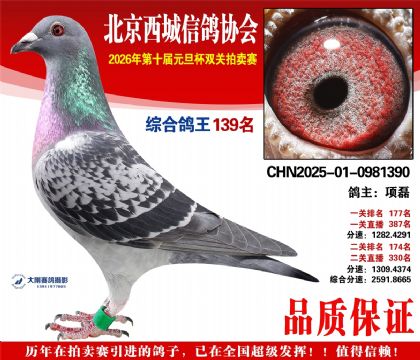 ����139��