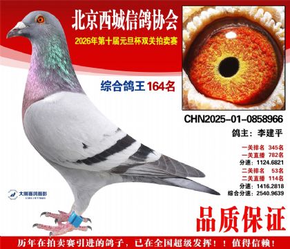 ����164��