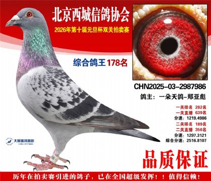 ����178��