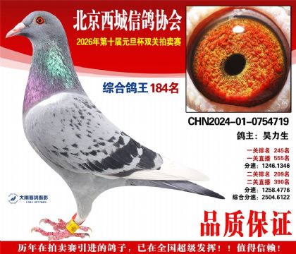 ����184��