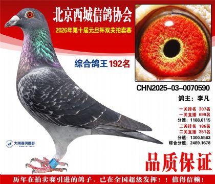 ����192��