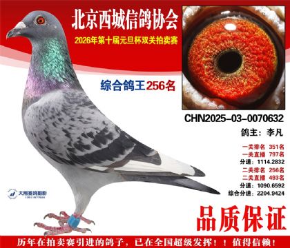 ����256��