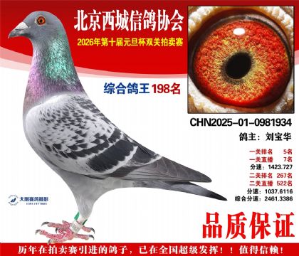 ����198��