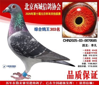 ����303��