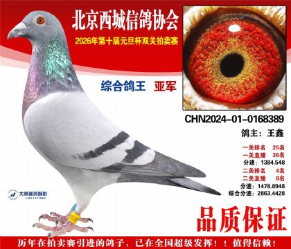 �����Ǿ�